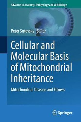 Cellular and Molecular Basis of Mitochondrial Inheritance: Mitochondrial Disease and Fitness