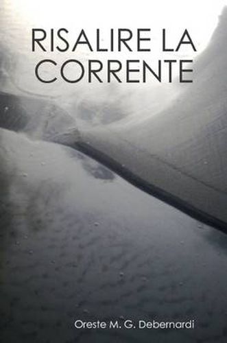 Cover image for Risalire La Corrente