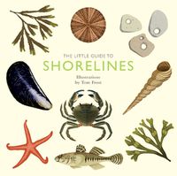 Cover image for The Little Guide to Shorelines