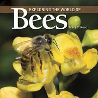 Cover image for Exploring the World of Bees