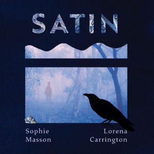 Cover image for Satin