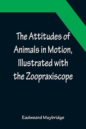 Cover image for The Attitudes of Animals in Motion, Illustrated with the Zoopraxiscope
