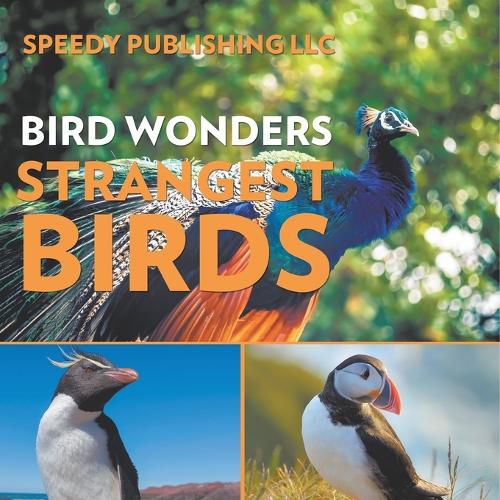 Cover image for Bird Wonders - Strangest Birds