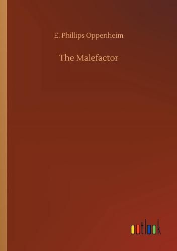 Cover image for The Malefactor