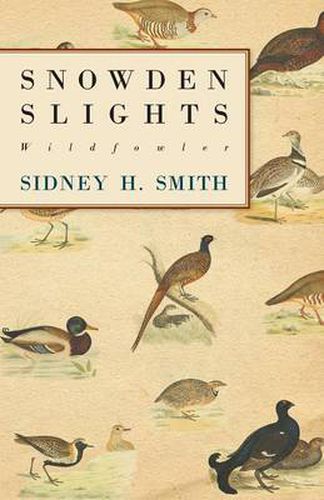 Cover image for Snowden Slights Wildfowler