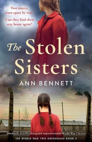 Cover image for The Stolen Sisters