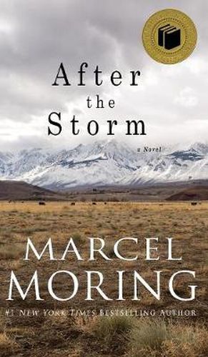 Cover image for After the Storm