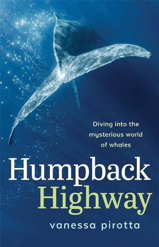 Cover image for Humpback Highway