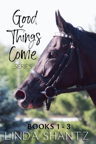 Cover image for The Good Things Come Series