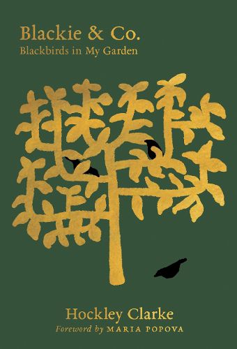 Cover image for Blackie & Co.