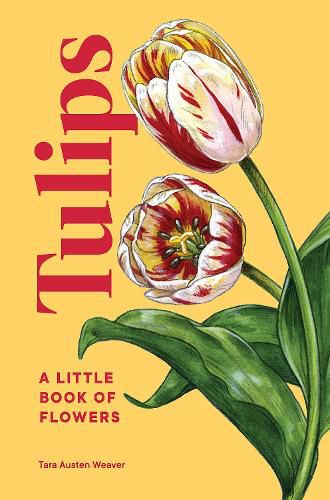 Cover image for Tulips: A Little Book of Flowers