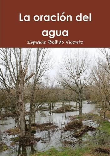 Cover image for La Oracion Del Agua