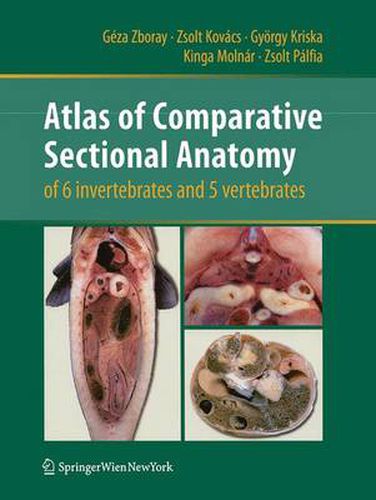 Cover image for Atlas of Comparative Sectional Anatomy of 6 invertebrates and 5 vertebrates