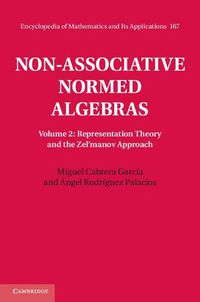 Cover image for Non-Associative Normed Algebras