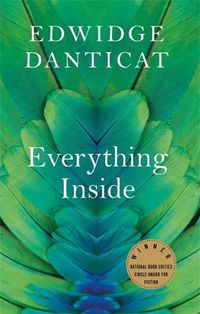 Cover image for Everything Inside