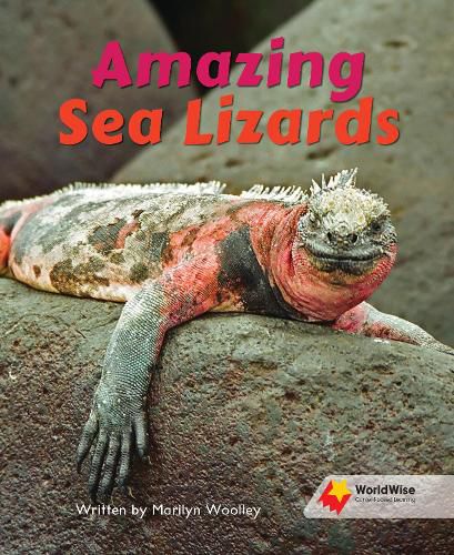 Cover image for Amazing Sea Lizards