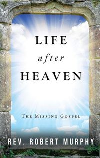Cover image for Life After Heaven