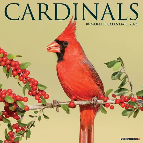 Cover image for Cardinals 2026 12 X 12 Wall Calendar