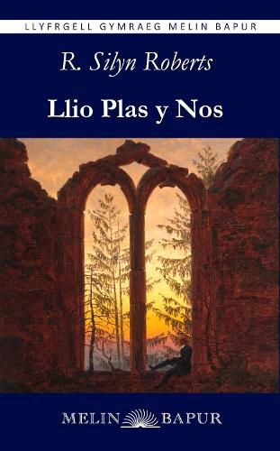 Cover image for Llio Plas y Nos 2024