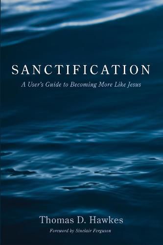 Sanctification: A User's Guide to Becoming More Like Jesus