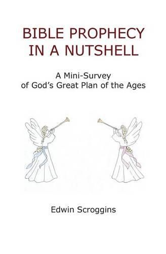 Cover image for Bible Prophecy in a Nutshell: A Mini-Survey of God's Great Plan of the Ages