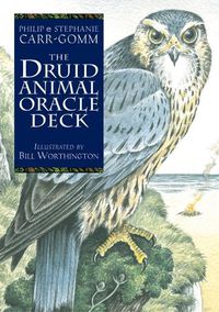 Cover image for The Druid Animal Oracle Deck