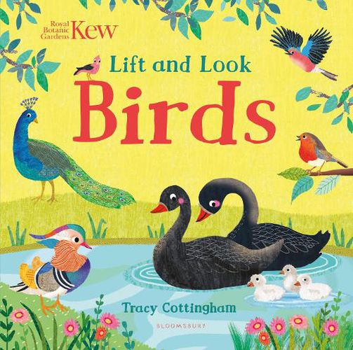 Cover image for Kew: Lift and Look Birds