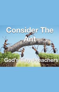 Cover image for Consider The Ant - God's Tiny Preachers