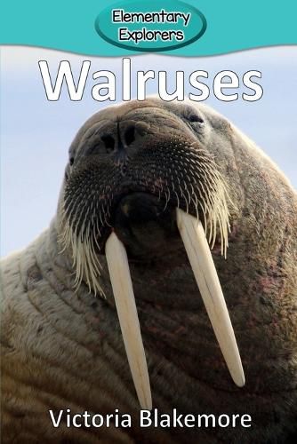 Cover image for Walruses