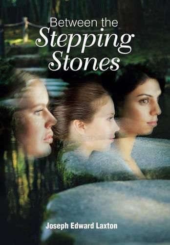 Cover image for Between the Stepping Stones