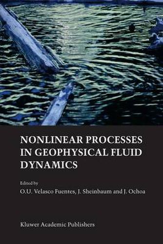 Cover image for Nonlinear Processes in Geophysical Fluid Dynamics: A tribute to the scientific work of Pedro Ripa