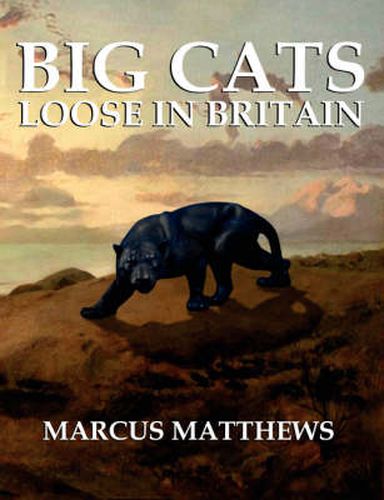 Cover image for Big Cats Loose in Britain