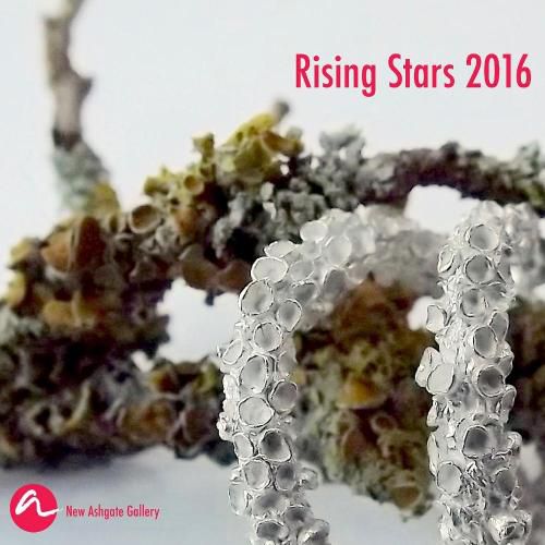 Cover image for Rising Stars 2016