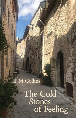 Cover image for The Cold Stones of Feeling