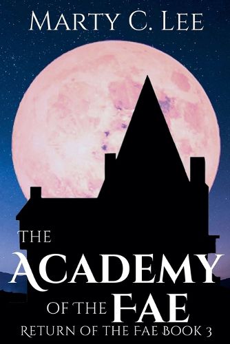 Cover image for The Academy of the Fae