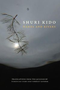 Cover image for Names and Rivers
