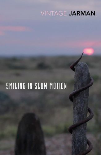 Cover image for Smiling in Slow Motion: Journals, 1991-1994