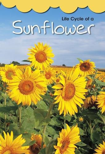 Cover image for Life Cycle of a Sunflower