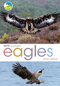 Cover image for RSPB Spotlight: Eagles