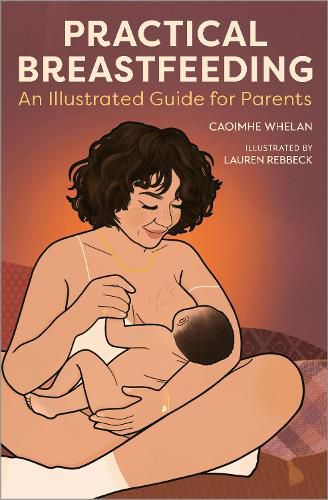 Cover image for Practical Breastfeeding
