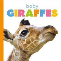 Cover image for Baby Giraffes