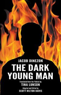 Cover image for The Dark Young Man