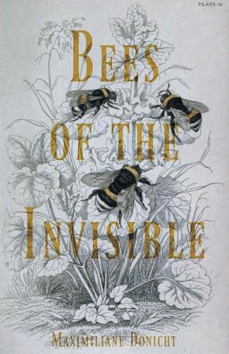 Cover image for Bees of the Invisible