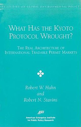 Cover image for What Has the Kyoto Protocol Wrought?