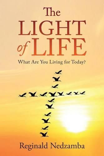 Cover image for The Light of Life: What Are You Living for Today?