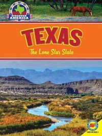 Cover image for Texas: The Lone Star State