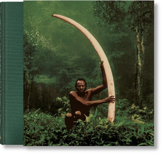 Cover image for Peter Beard. The End of the Game