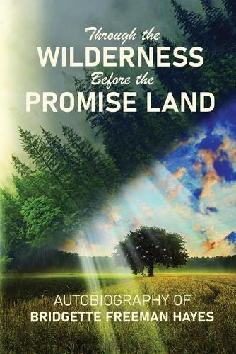 Cover image for Through the Wilderness Before the Promise Land