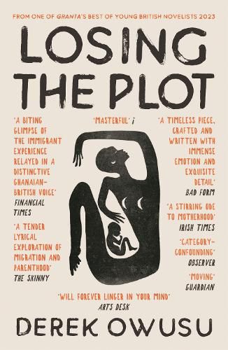 Cover image for Losing the Plot