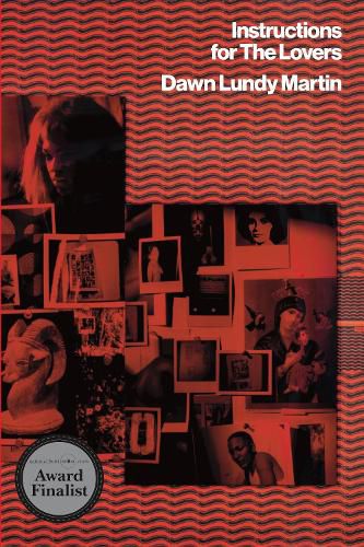 Cover image for Instructions for the Lovers